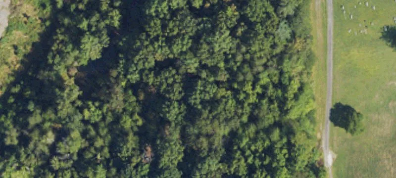 Wooded Land with Stream