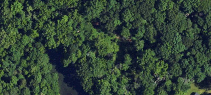 Wooded Acres in Greensboro