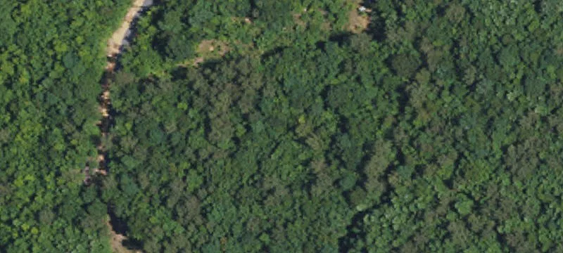 74-Acre Randolph County Land Parcel
