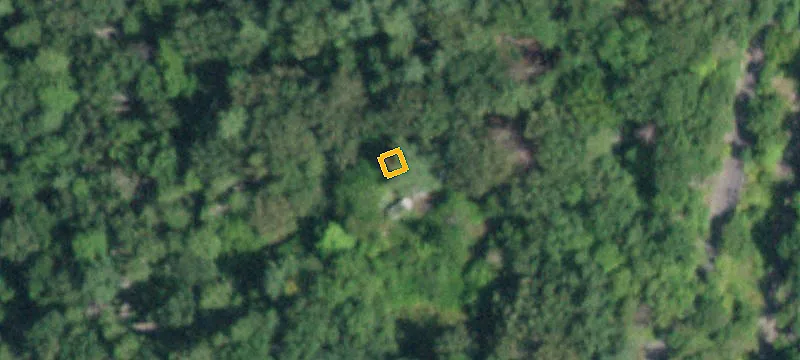 Forested Land Near Saugerties