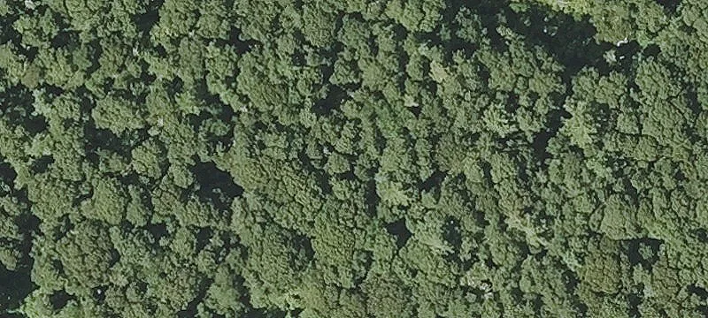 7.34 Acres Developable Land Pocasset