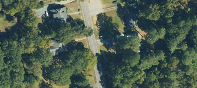 Timber Tract in Wadesboro Park
