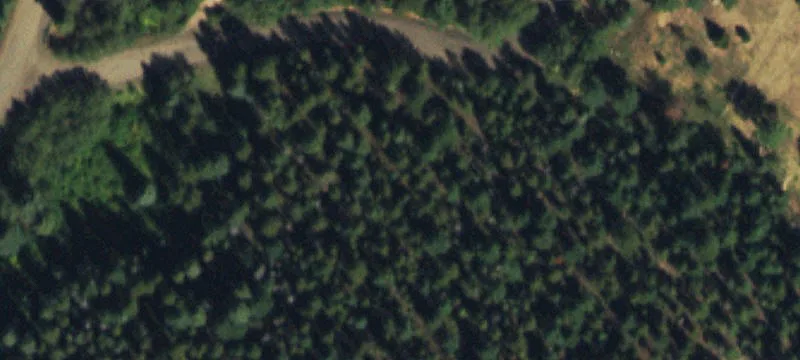 Conifer Foothills Residential Land