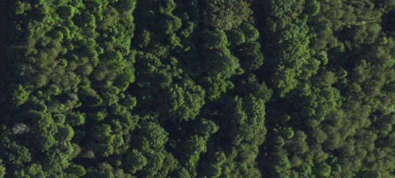 Oak Ridge Acreage For Sale