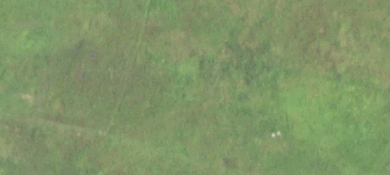Unrestricted Land on Highway 59