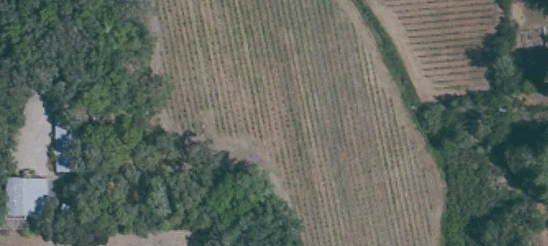 Russian River Valley Vineyard Opportunity