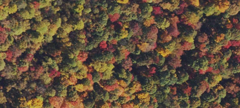 Mountain Land for Dream Home