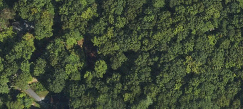 Residential Lots in Bear Rock