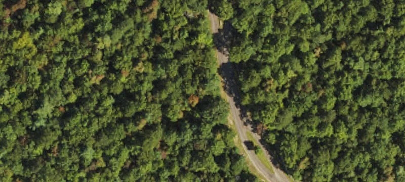 Wooded Lot in Gated Community