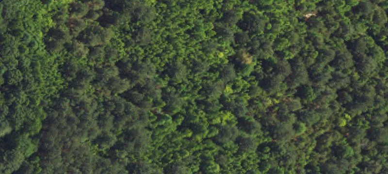 Land Near Toyota Battery Site