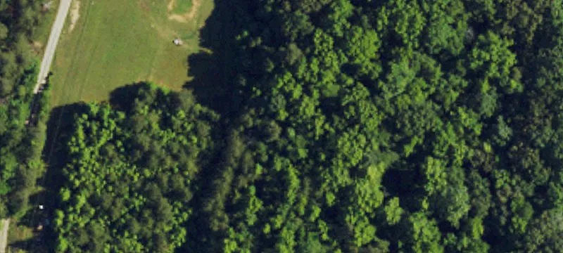 Cleared Lot Ready for Building