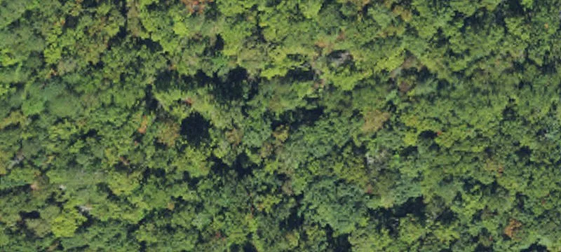 Vacant Land Near Brevard, NC