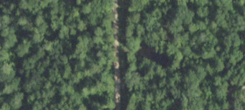 42-Acre Wooded Land Tract