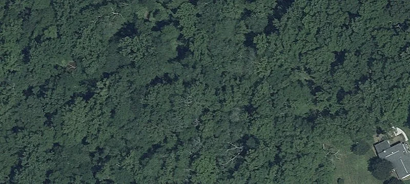 Woodland Parcel with Approved Plans