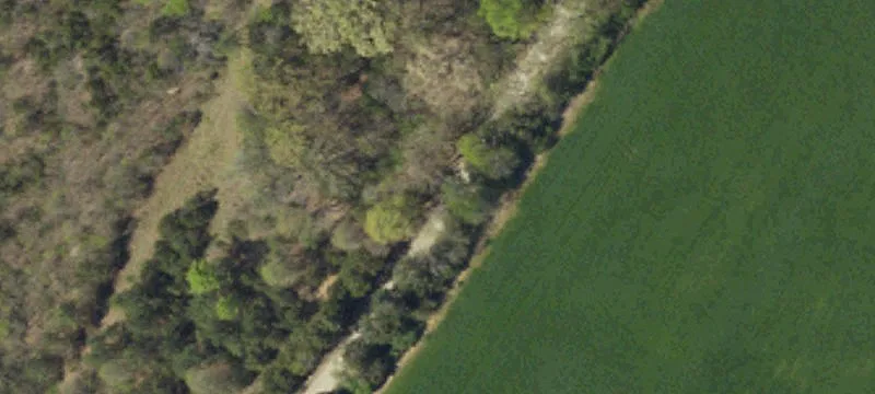 Heavily Wooded Land Parcel