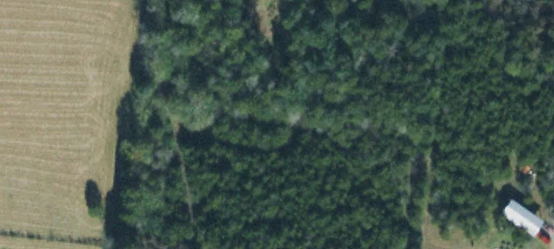 Tennessee Land for Sale