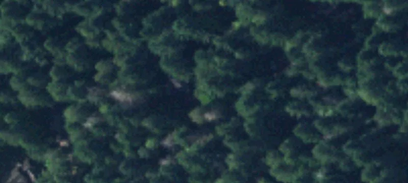 Private Homesite Near Marina