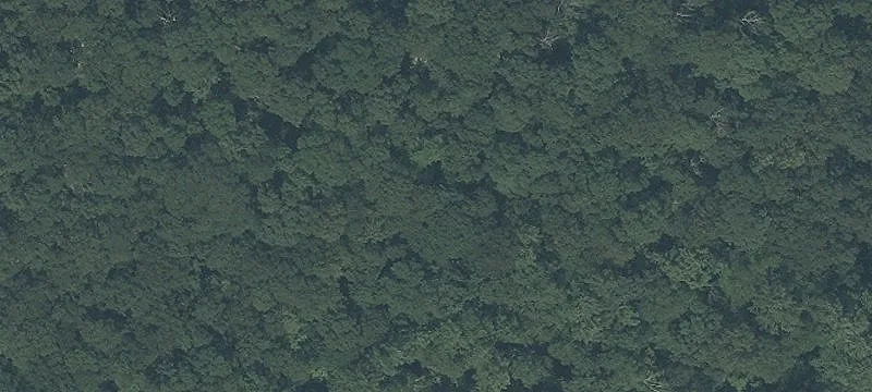 87 Acres in Sparta Township
