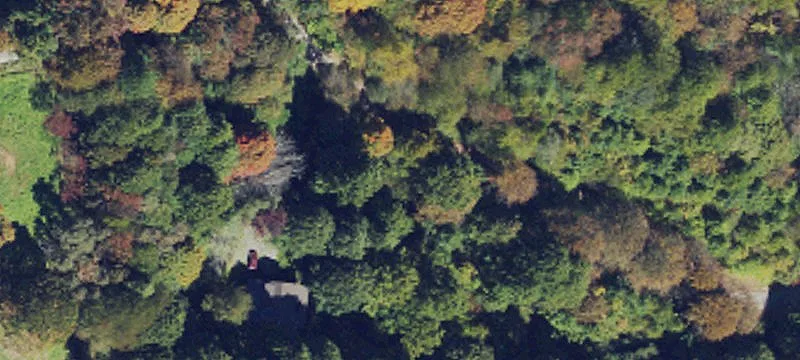 Wooded Lot in Gated Community