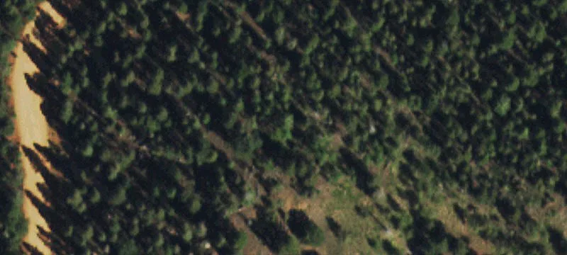 Mountain Land in Florissant