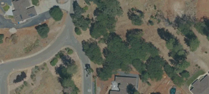 Residential Lot with Mature Oak