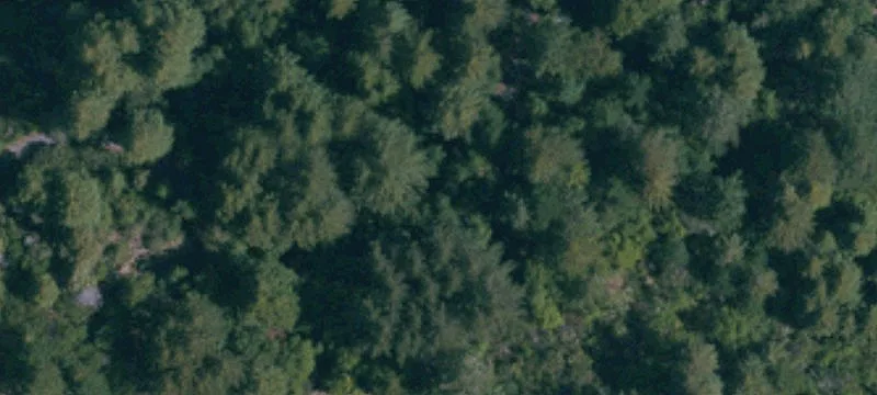 Guerneville Land with Development Potential