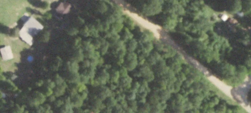 Heavily Wooded Acreage with Well