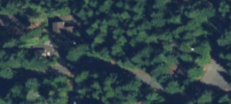 Wooded Lot Near Lake Cushman