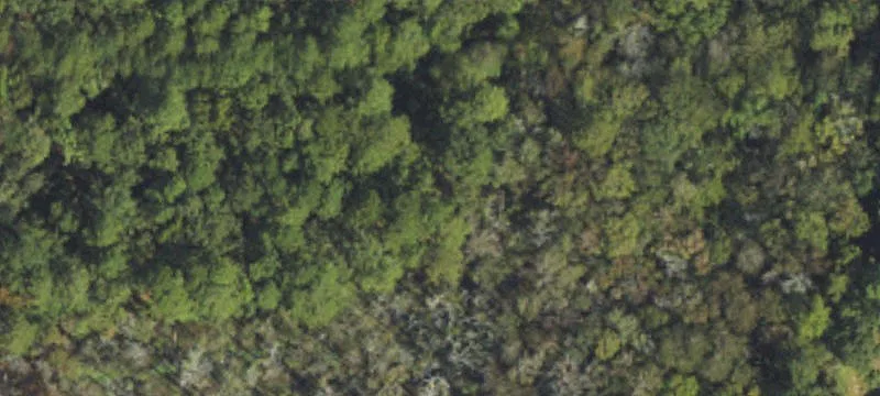Wooded Lot in Sherrow Estates