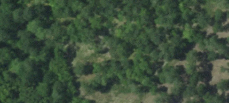 5-Acre Lot in Needville, TX