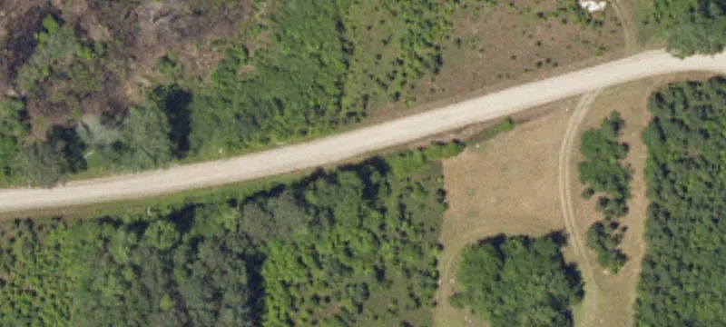 Cleared Lot in Growing Area