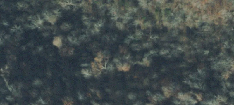 21 Acres in Goodlettsville