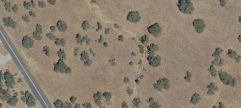 Land with Park-Like Setting