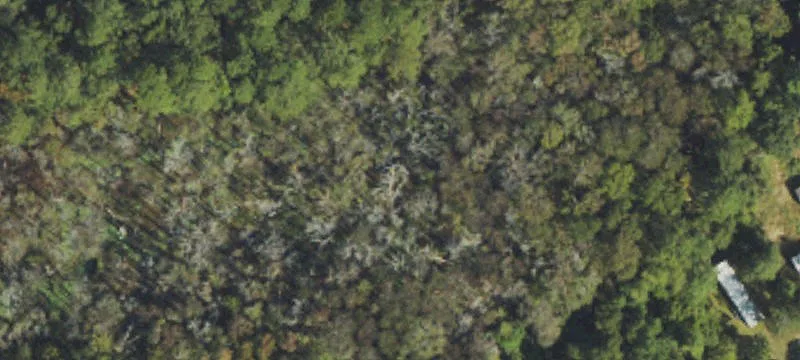 Sassafras Road Homesite with Financing