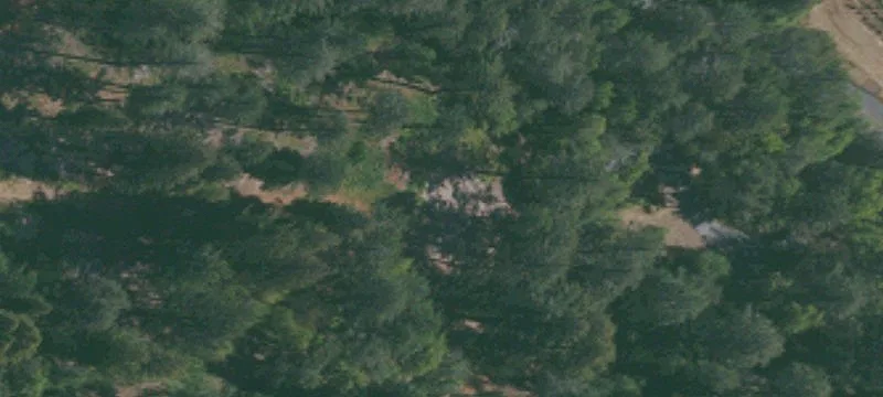 Sonoma County Vineyard Estate Opportunity