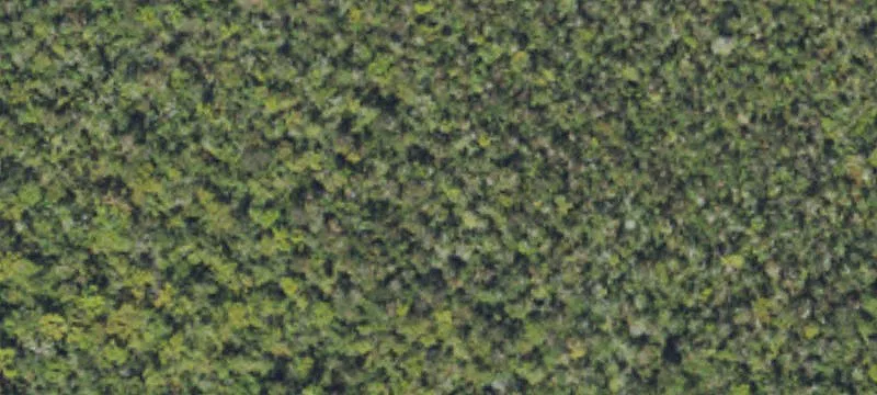 High-Traffic Commercial Land Parcel