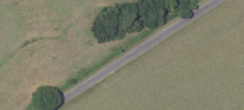 Greenvine Acres Land For Sale