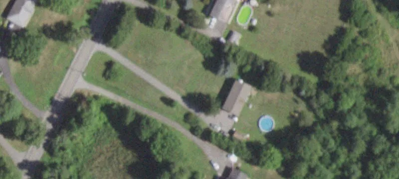 99 Acre Blueberry Farm Opportunity