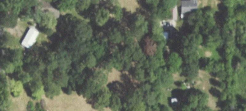 Crosby Acreage with Mature Trees
