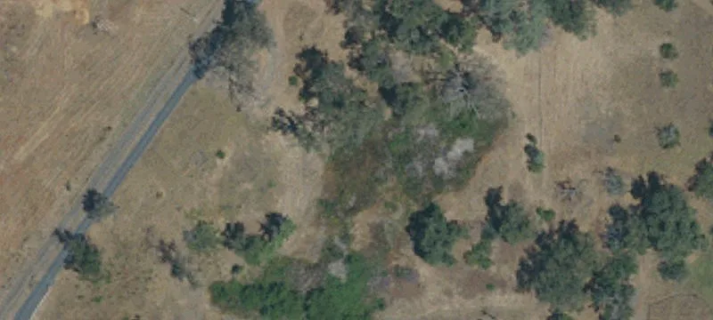 Over One-Acre Level Lot