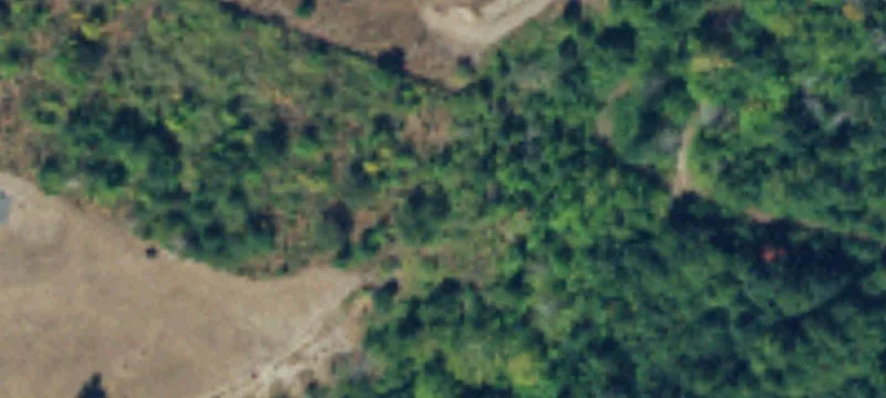 Eatonville Land with Mountain Views