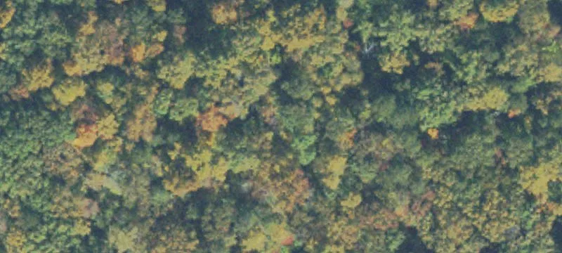 Wooded Estate Lot Near Lake
