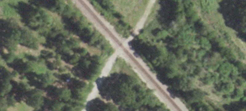 Wooded Land in Wood Creek