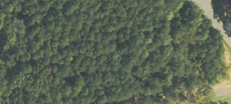 Wooded Lot in Bridlegate