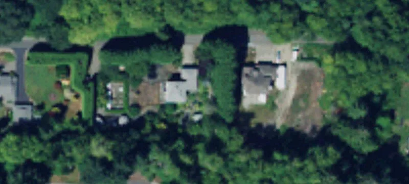 Gig Harbor Treed Lot