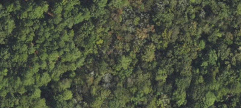 Sassafras Road Land For Sale