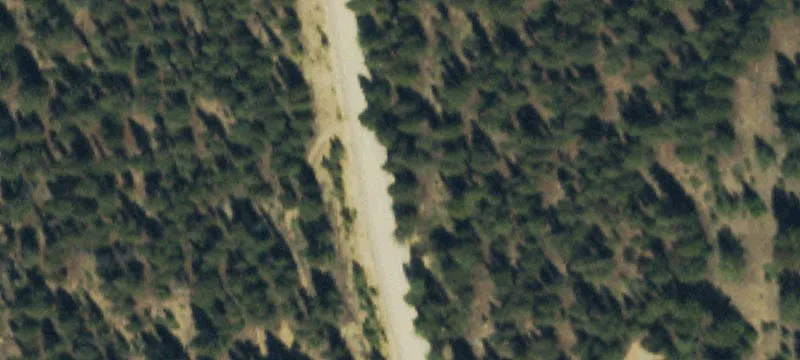 2.67 Acre Forest Getaway Lot