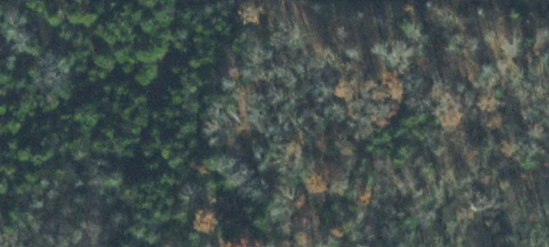 Commercial Land in Growing Area