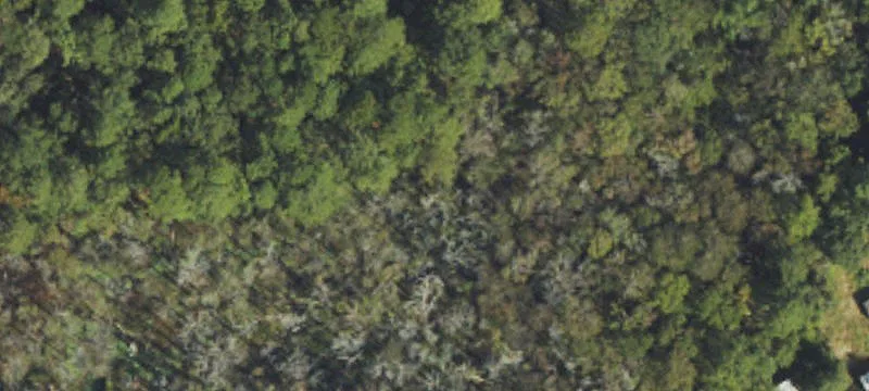 Sassafras Road Land For Sale