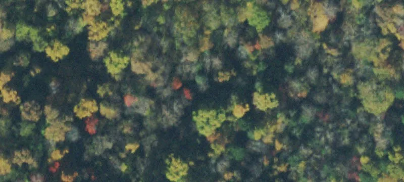 Secluded Cannon County Homestead Opportunity